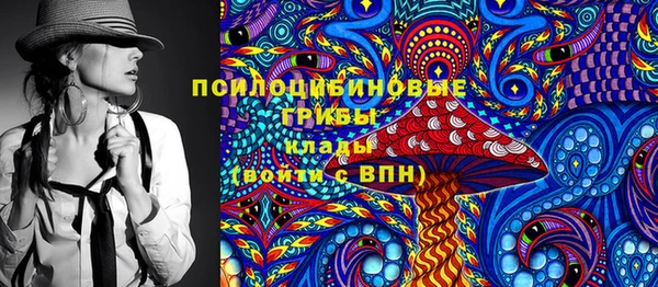 mdpv Протвино
