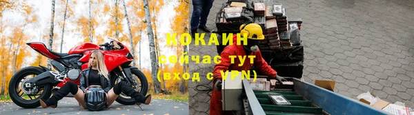 индика Покровск