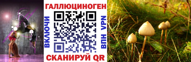 маркетплейс состав  Кинешма  Галлюциногенные грибы ЛСД 