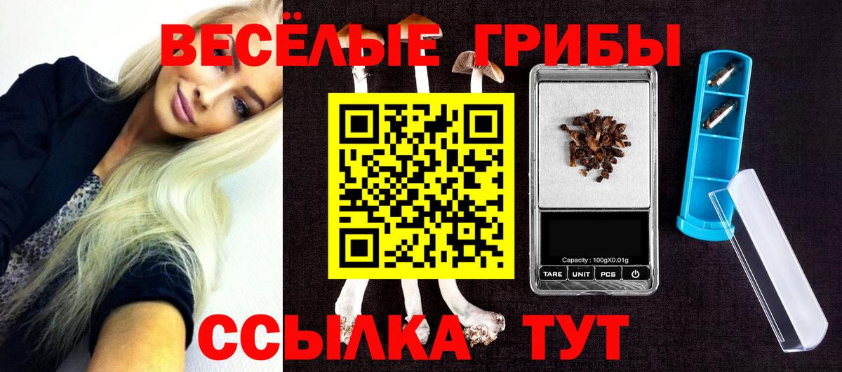 Галлюциногенные грибы Cubensis Кинешма