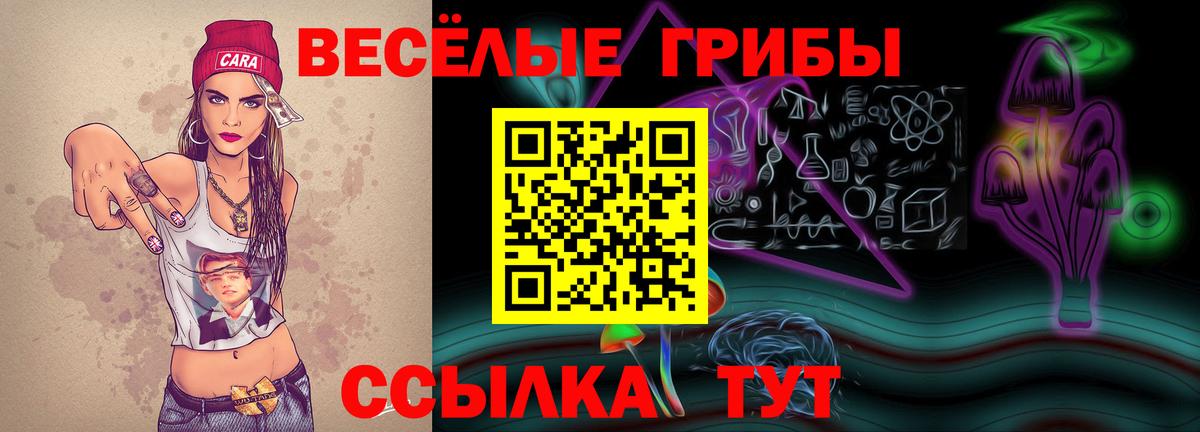 Галлюциногенные грибы Cubensis Кинешма