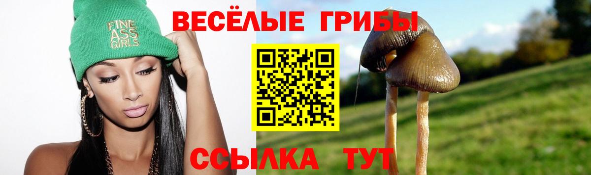 Галлюциногенные грибы ЛСД  Кинешма  закладка  Псилоцибиновые грибы GOLDEN TEACHER 